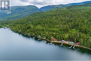 3546 MABEL LAKE Road - Photo 89