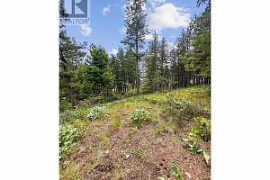 42 Muir Road - Photo 8