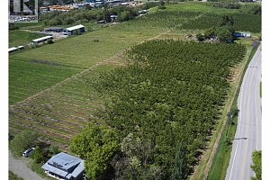 1094 Pottery Road - Photo 3