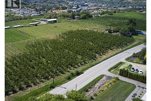 1094 Pottery Road - Photo 32
