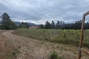 5078 Cousins Place - Photo 24