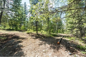 4410A June Springs Road - Photo 10