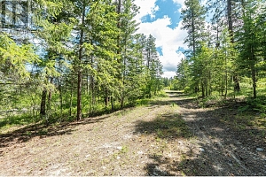 4410A June Springs Road - Photo 11