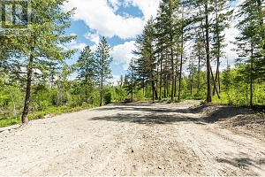 4410A June Springs Road - Photo 12