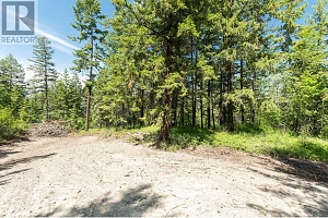 4410A June Springs Road - Photo 13
