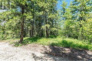 4410A June Springs Road - Photo 14