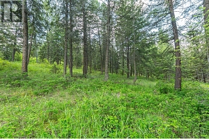 4410A June Springs Road - Photo 17