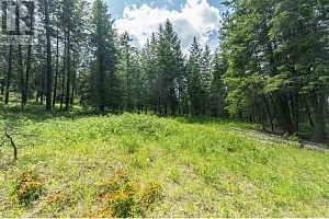 4410A June Springs Road - Photo 20