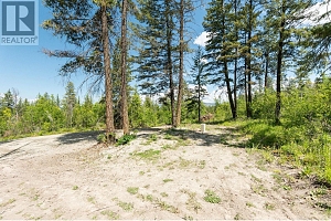 4410A June Springs Road - Photo 5