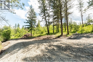 4410A June Springs Road - Photo 7