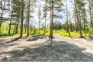 4410A June Springs Road - Photo 8