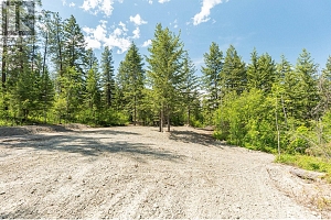 4410A June Springs Road - Photo 9