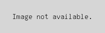 1505 38 Avenue - Photo 50