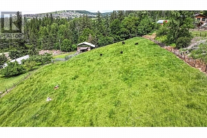 5541 Dixon Dam Road - Photo 81