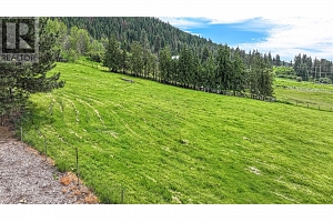 5541 Dixon Dam Road - Photo 85
