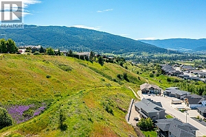 313 Baldy Place - Photo 51