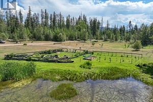 650 Trinity Valley Road - Photo 3
