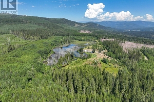 650 Trinity Valley Road - Photo 53