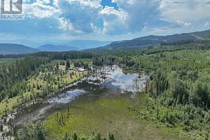 650 Trinity Valley Road - Photo 73