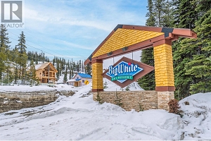 5275 Big White Road Unit# 314 - Photo 2