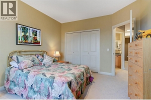 5205 Sandhills Drive - Photo 47