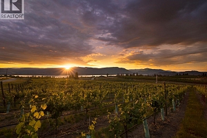 916 Bull Crescent Lot# 88 - Photo 14