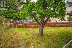 1358 Cherry Crescent E - Photo 37