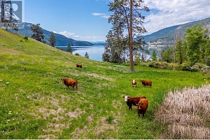 201 Highway 97 - Photo 37