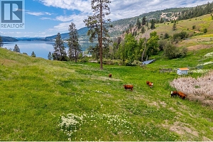 201 Highway 97 - Photo 38