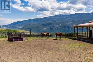 201 Highway 97 - Photo 48