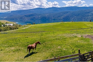 201 Highway 97 - Photo 30