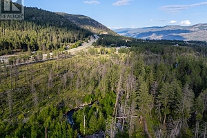 4740 Trepanier Road - Photo 19
