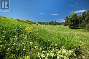 3914 Hornby Terrace Lot# 15 - Photo 42