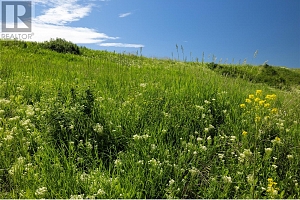 3914 Hornby Terrace Lot# 15 - Photo 43