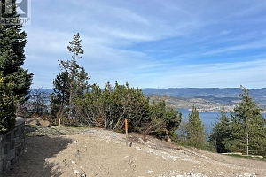 911 Guest Road - Photo 17