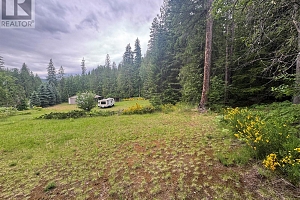 3151 Enderby Mabel Lake Road - Photo 39