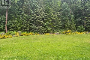 3151 Enderby Mabel Lake Road - Photo 4