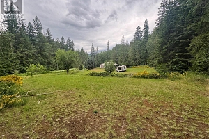 3151 Enderby Mabel Lake Road - Photo 40