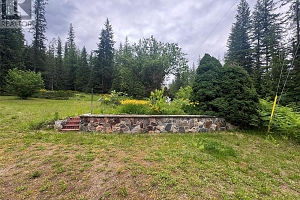 3151 Enderby Mabel Lake Road - Photo 45