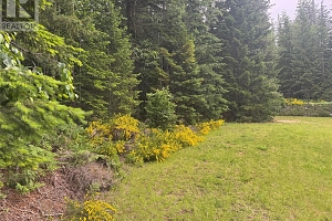 3151 Enderby Mabel Lake Road - Photo 6