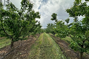 1102 Pottery Road - Photo 17