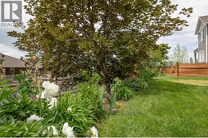 5008 Bunting Court - Photo 47