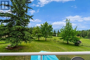 377 Stroulger Road - Photo 66