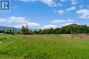 377 Stroulger Road - Photo 74