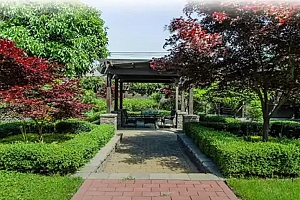 1023 Lawrence Avenue - Photo 2