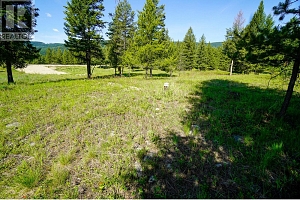 Lot 8 Mary G Road - Photo 10