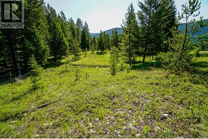 Lot 8 Mary G Road - Photo 2