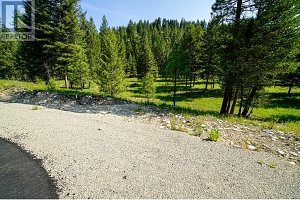 Lot 8 Mary G Road - Photo 3