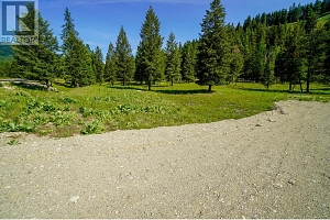 Lot 8 Mary G Road - Photo 7