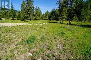 Lot 8 Mary G Road - Photo 8